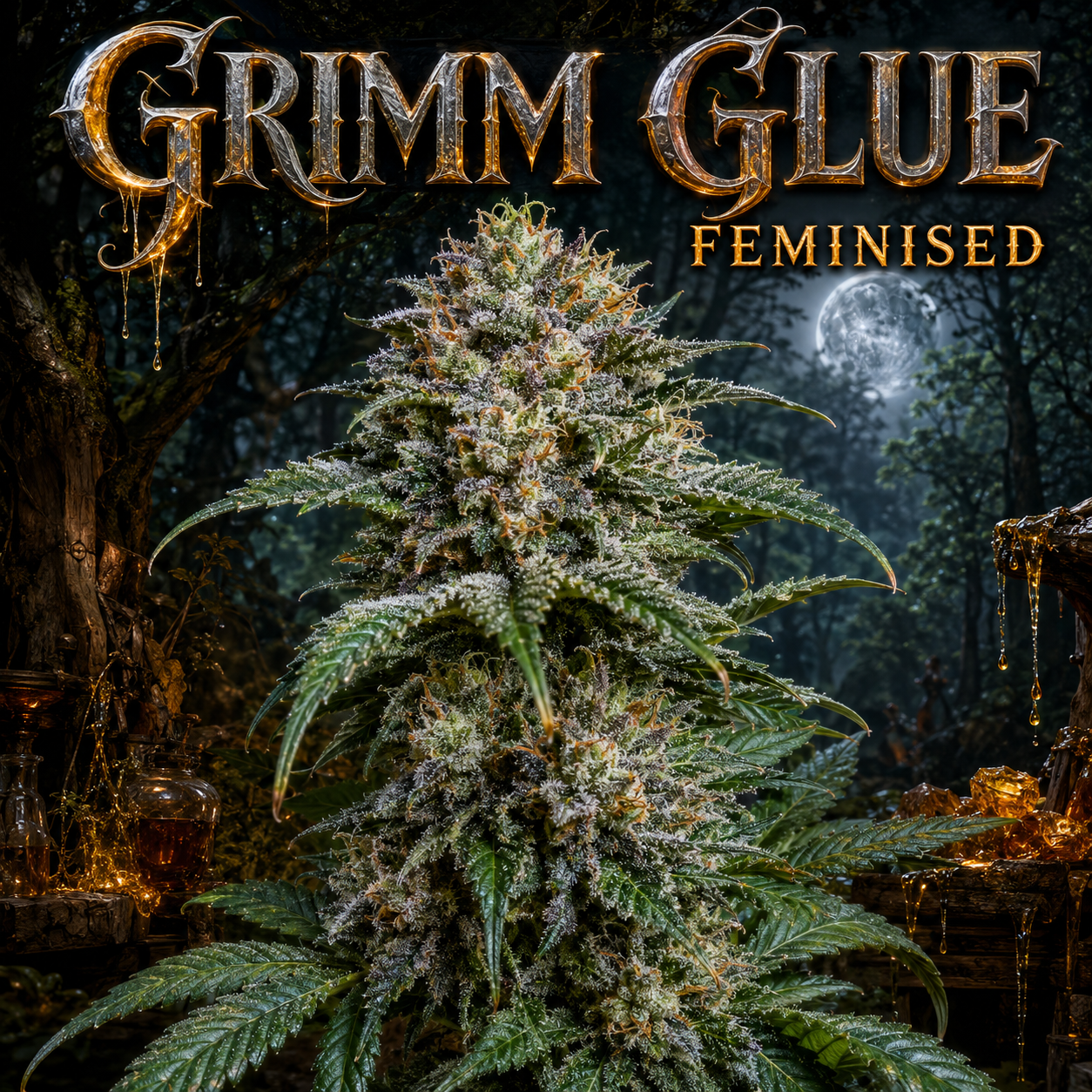 grim glue plant image