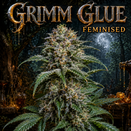grim glue plant image