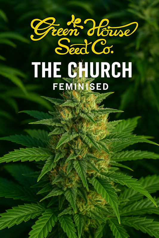 The Church Feminised cannabis seeds by Green House Seed Co. display image with vibrant cannabis plants and branded logo for UK collectors