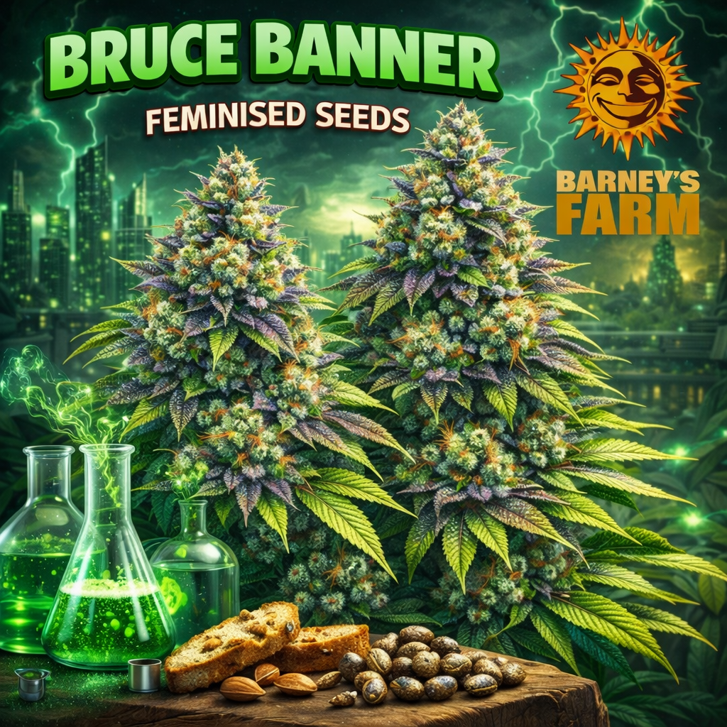 Bruce Banner Feminised Seeds by Barney’s Farm — high-detail cannabis plant artwork with dense frosty buds, green sci-fi laboratory theme, glowing experiment flasks and branded logo, promotional image for UK seed collectors.
