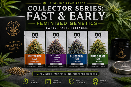 00 seeds hd image collection fast and early