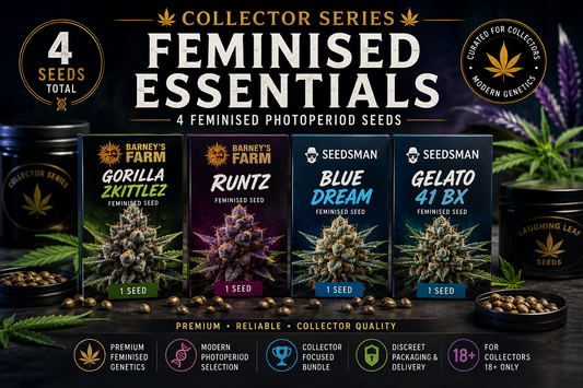 Promotional graphic for a seed collection bundle titled 'Feminised Essentials' with four labeled seed packets shown in front of dark jars and plants. Text includes '4 Seeds Total,' '4 Feminised Photoperiod Seeds,' and seed varieties Gorilla, Runtz, Blue Dream, and Gelato 41 BX.
