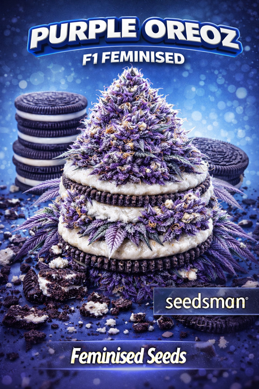 Hyper-realistic Purple Oreoz F1 Feminised cannabis plant stacked like an Oreo cookie dessert, featuring dense deep-purple frosty buds layered with creamy white textures, crushed cookie elements, dark blue studio background, and “Purple Oreoz F1 – Feminised Seeds – Seedsman” branding.